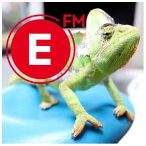 Expres FM