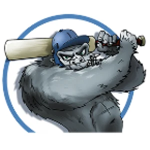 Guerilla Cricket SA