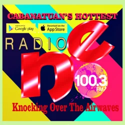 RRadioNE FM100.3