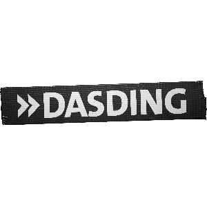 SWR DasDing
