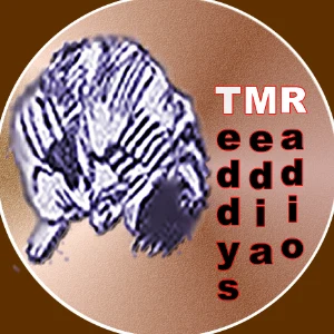 Teddy's Media Radio