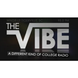 THE VIBE