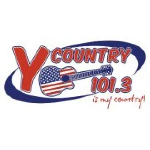 Y-101.3