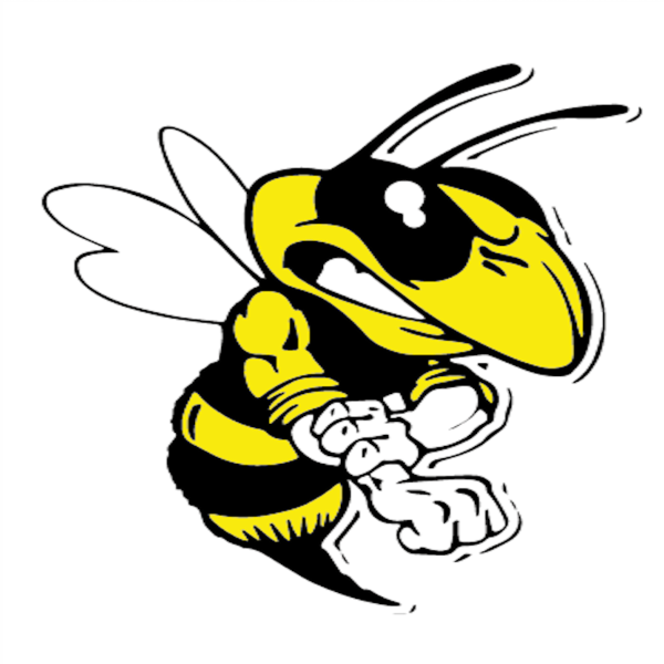 Mad Wasp